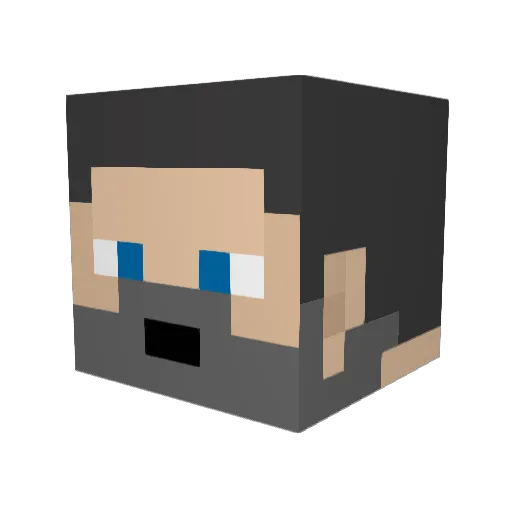 pulgaou Minecraft avatar head, 3D render