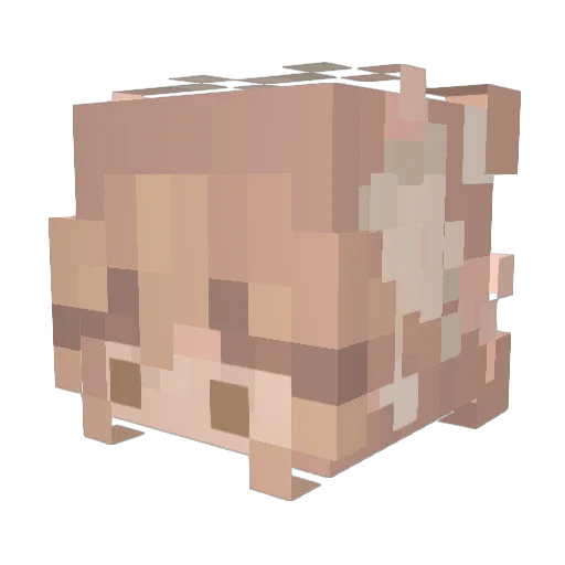pulsarnov Minecraft avatar head, 3D render