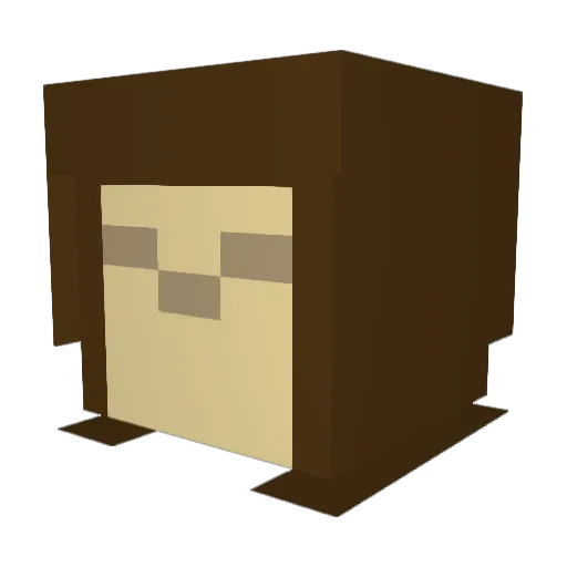 pulsarskate Minecraft avatar head, 3D render