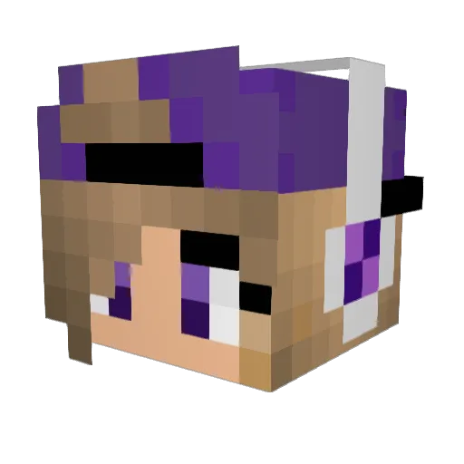 pumasehren Minecraft avatar head, 3D render