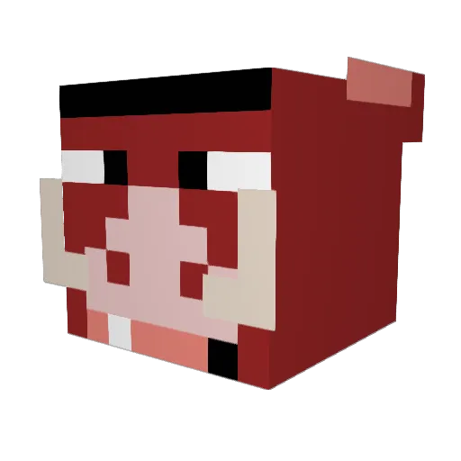 pumbaTM Minecraft avatar head, 3D render