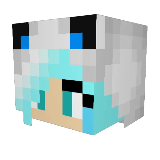 pumi1228 Minecraft avatar head, 3D render