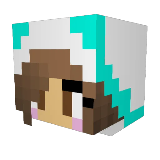 pumpkin339 Minecraft avatar head, 3D render