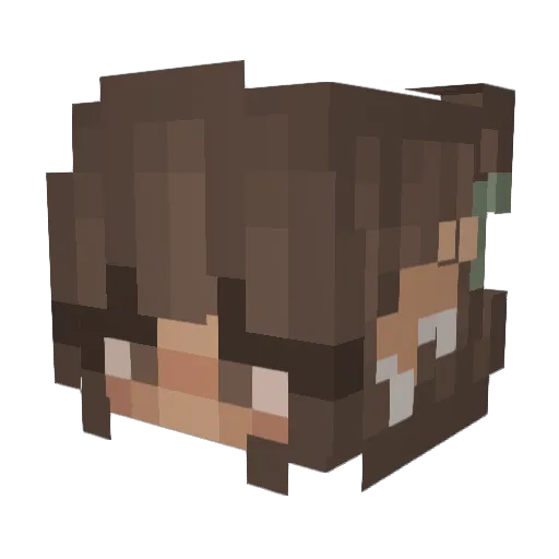 pumpkin6482 Minecraft avatar head, 3D render