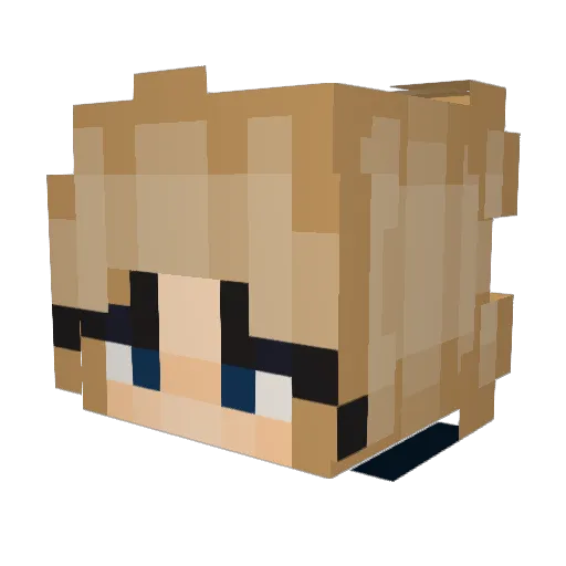 pumpkin_97 Minecraft avatar head, 3D render