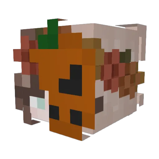 pumpkin_katt Minecraft avatar head, 3D render