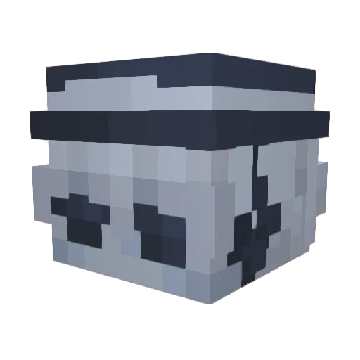pumpkin_mist Minecraft avatar head, 3D render