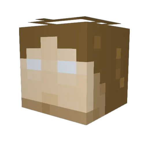 pumpkinman8 Minecraft avatar head, 3D render