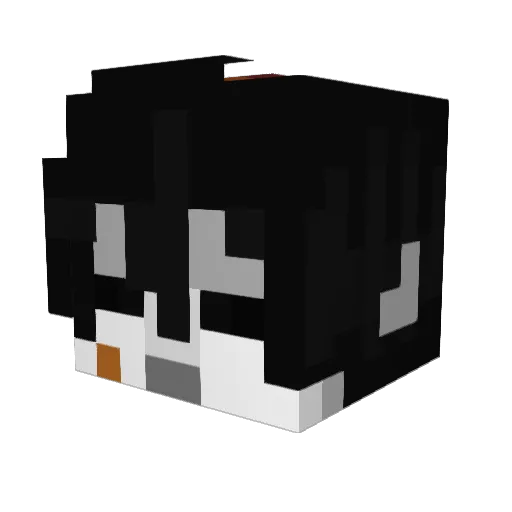 pumpkinrancher Minecraft avatar head, 3D render