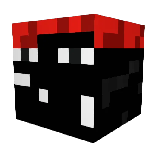 pumslayer65 Minecraft avatar head, 3D render
