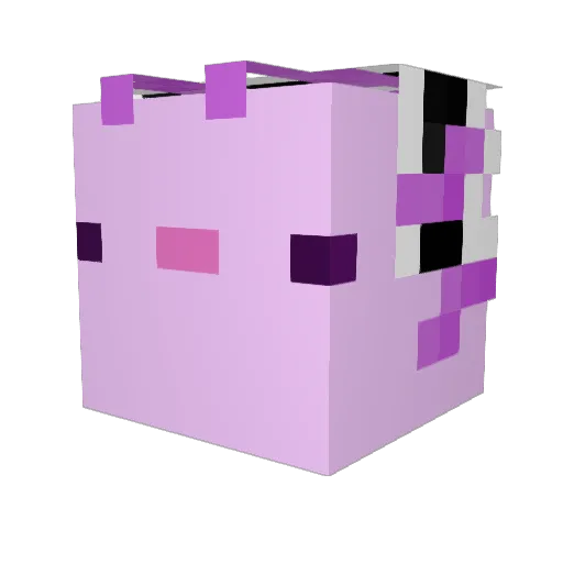 punbbe Minecraft avatar head, 3D render