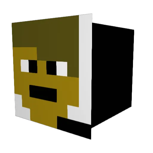 punchmetalfofun Minecraft avatar head, 3D render