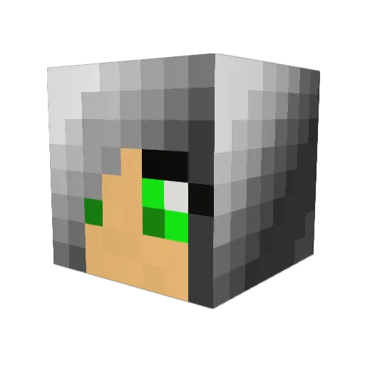 punchon Minecraft avatar head, 3D render