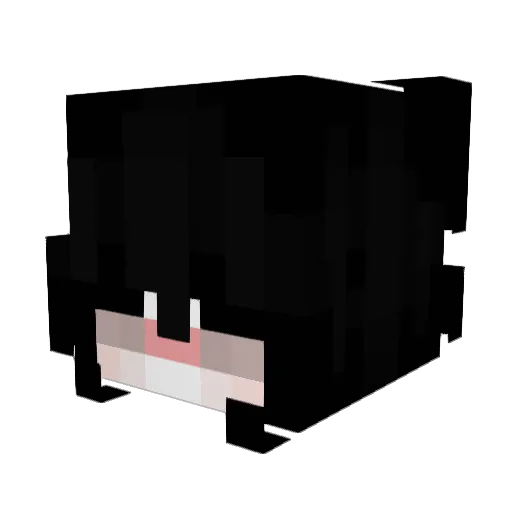 punhetola Minecraft avatar head, 3D render