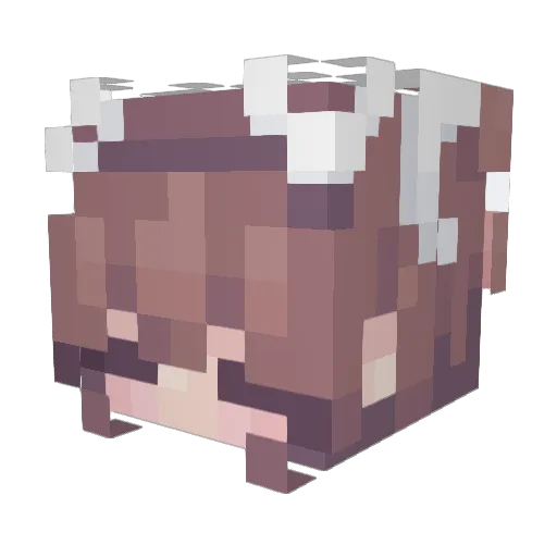 punia09 Minecraft avatar head, 3D render