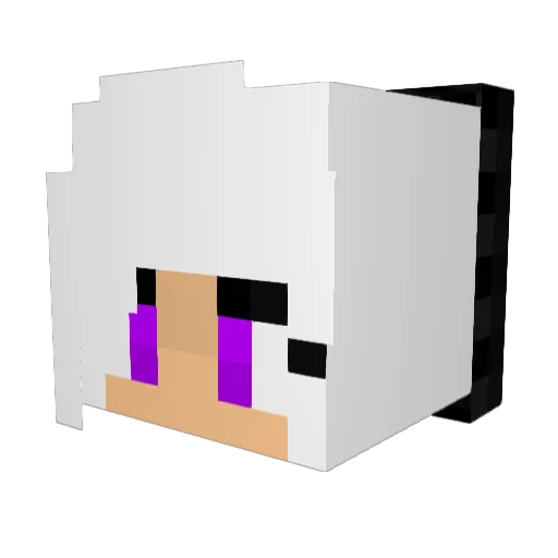 punisher8000 Minecraft avatar head, 3D render
