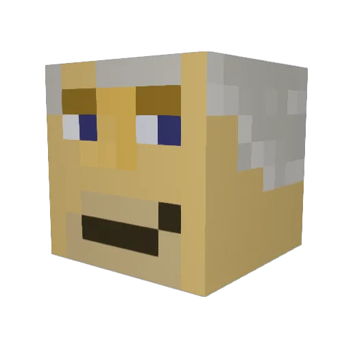 punj0 Minecraft avatar head, 3D render