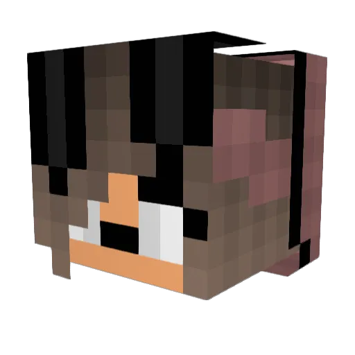 punkfan Minecraft avatar head, 3D render