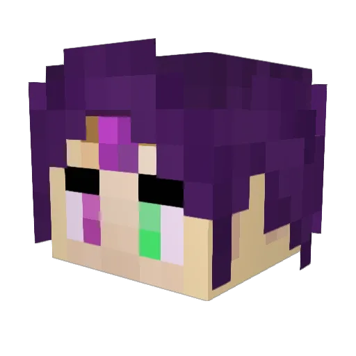 punkinn1 Minecraft avatar head, 3D render