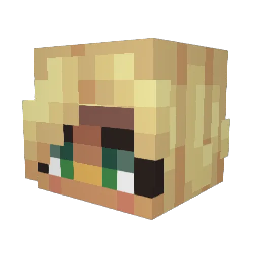 punkinnnnn Minecraft avatar head, 3D render