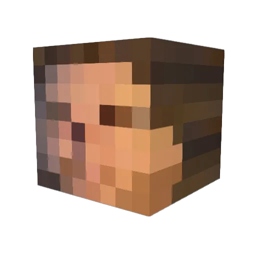 punnbun69 Minecraft avatar head, 3D render