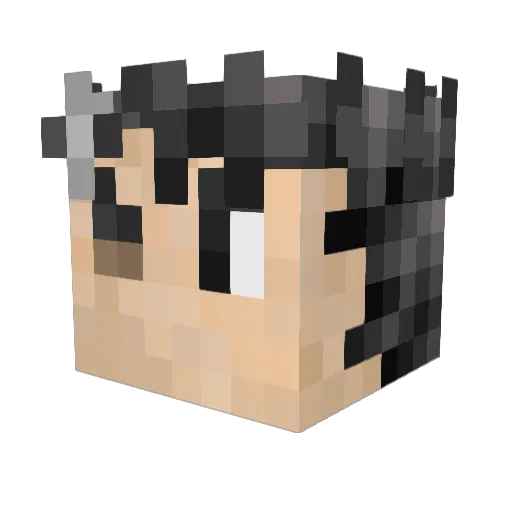 punoko_ Minecraft avatar head, 3D render