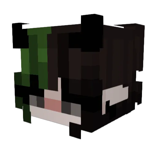 pup_Jim Minecraft avatar head, 3D render