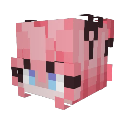 pupcrumbs Minecraft avatar head, 3D render