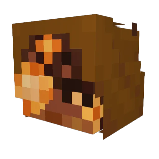 pupfetti_cake Minecraft avatar head, 3D render