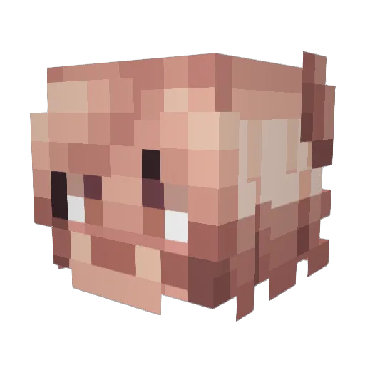 pupfettii Minecraft avatar head, 3D render