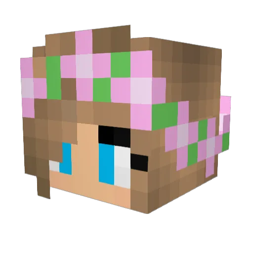 pupi06 Minecraft avatar head, 3D render