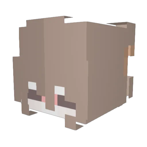 pupp1ee Minecraft avatar head, 3D render