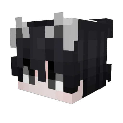 pupper42 Minecraft avatar head, 3D render