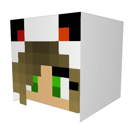 puppies29 Minecraft avatar head, 3D render