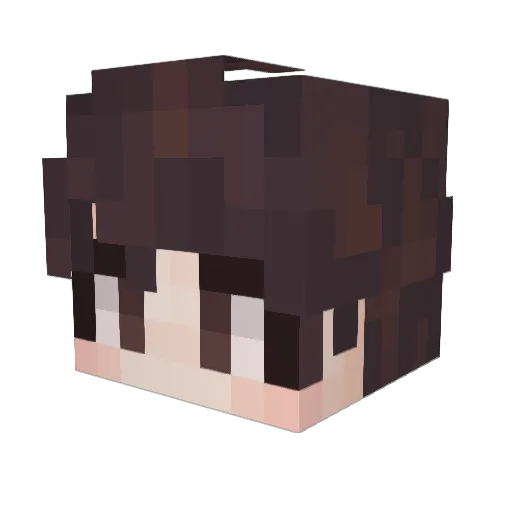 puppy10089 Minecraft avatar head, 3D render