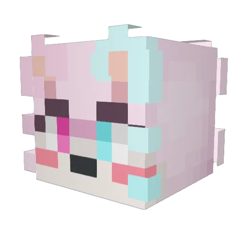 puppyboybread Minecraft avatar head, 3D render