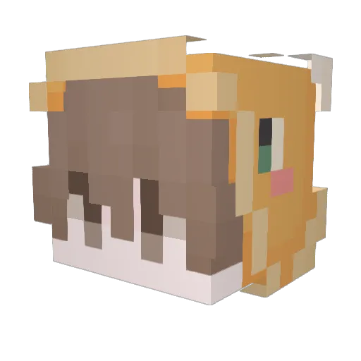 puppyboydyro Minecraft avatar head, 3D render