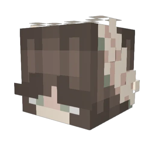puppybuilderz Minecraft avatar head, 3D render