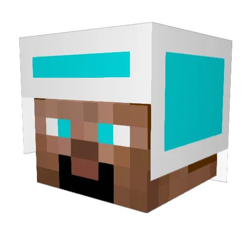 puppyface1011 Minecraft avatar head, 3D render