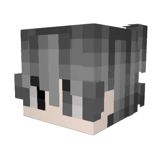 puppyhaha Minecraft avatar head, 3D render