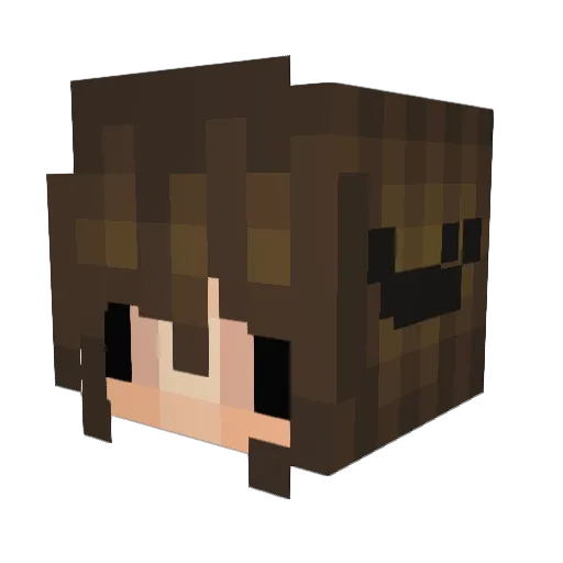 puppylover242 Minecraft avatar head, 3D render