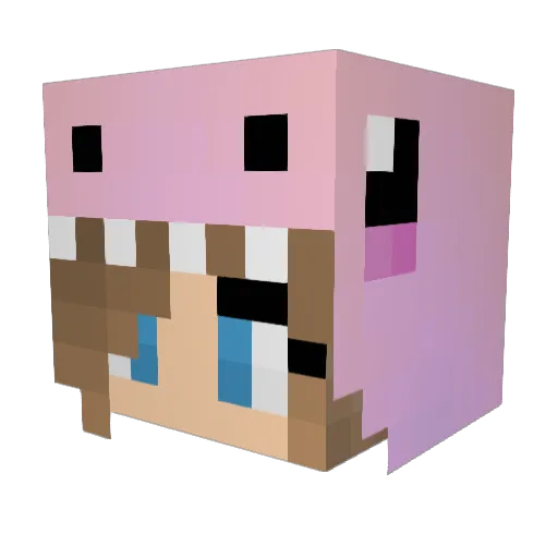 puppylover507 Minecraft avatar head, 3D render