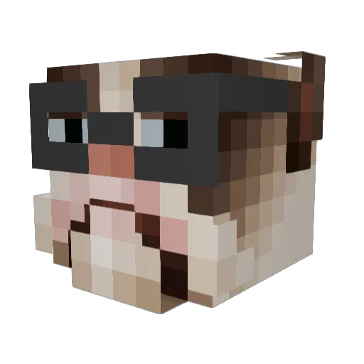 puppypoo309 Minecraft avatar head, 3D render