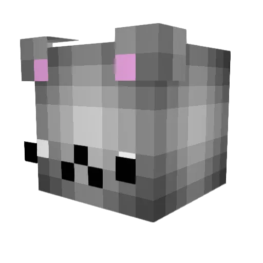 puppyprincess10 Minecraft avatar head, 3D render