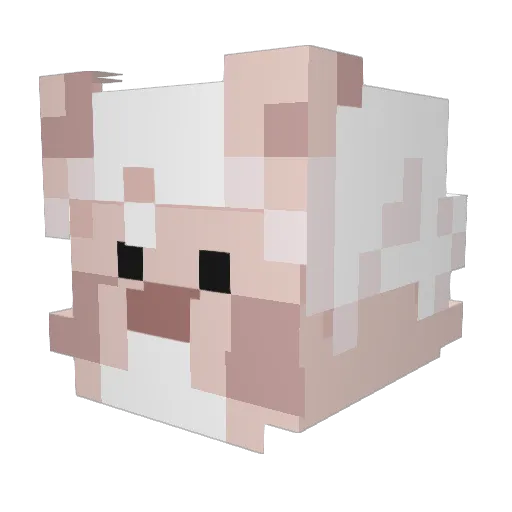 puppyprints Minecraft avatar head, 3D render
