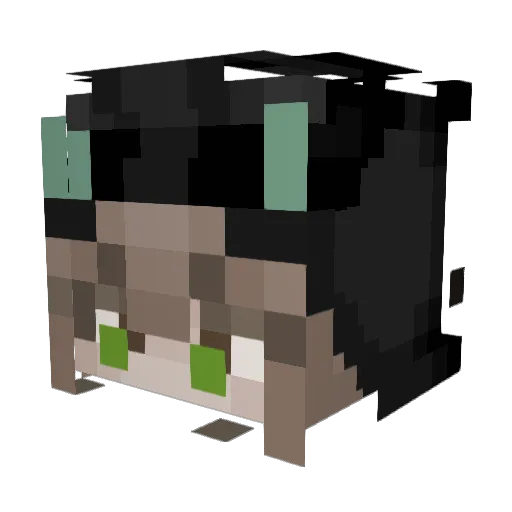 puppyshiro Minecraft avatar head, 3D render