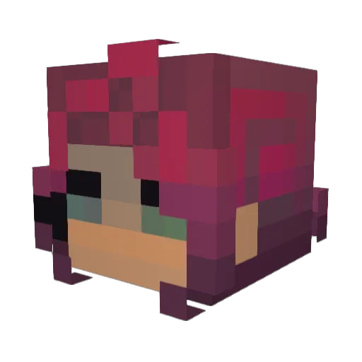 puppytheface Minecraft avatar head, 3D render