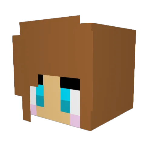 pups4lyf Minecraft avatar head, 3D render