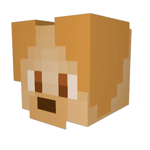 pupwaffle Minecraft avatar head, 3D render
