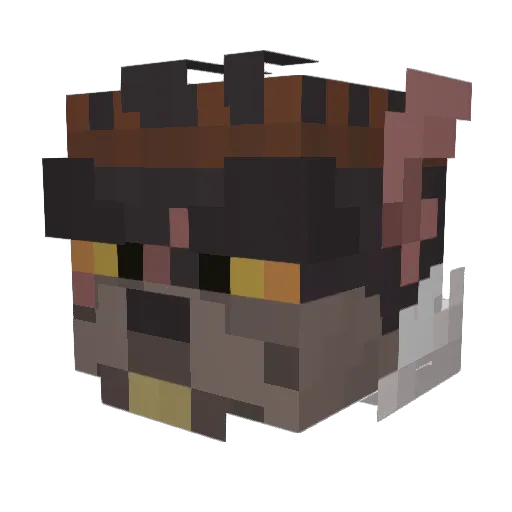 purebloodson Minecraft avatar head, 3D render